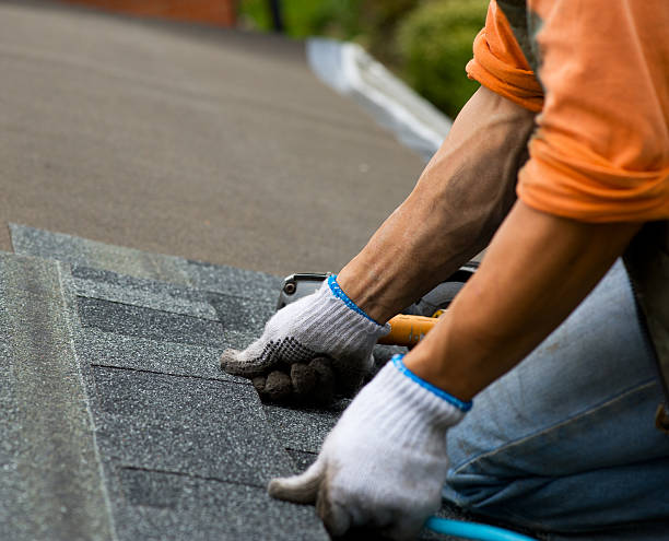 Best Roof Gutter Cleaning  in Hopelawn, NJ